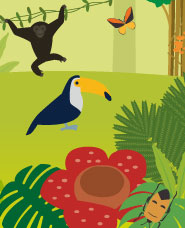 Jungle illustration
