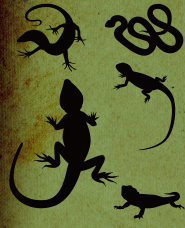 Reptiles silhouette