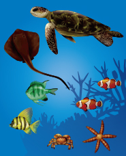 Sinh vật biển thực vật liệu minh họa
