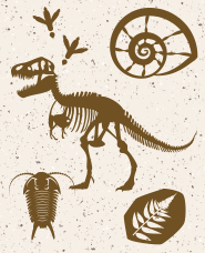 Fossil silhouette