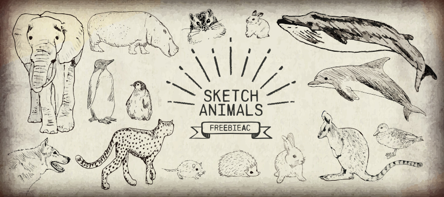 Sketch style animal illustrations