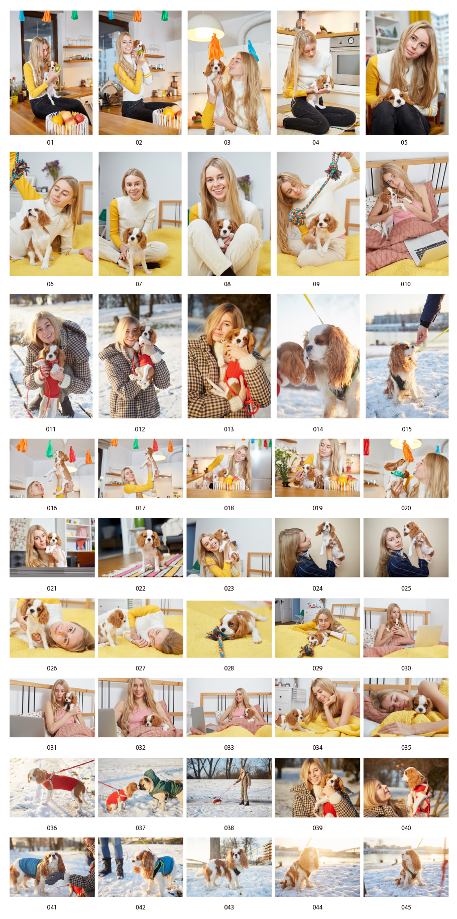 Photo material of women living with dogs