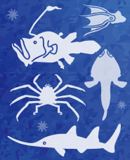 Deep sea fish silhouette material