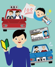 Illustration of driver's license