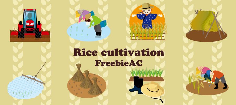 水稻種植和收割的插圖