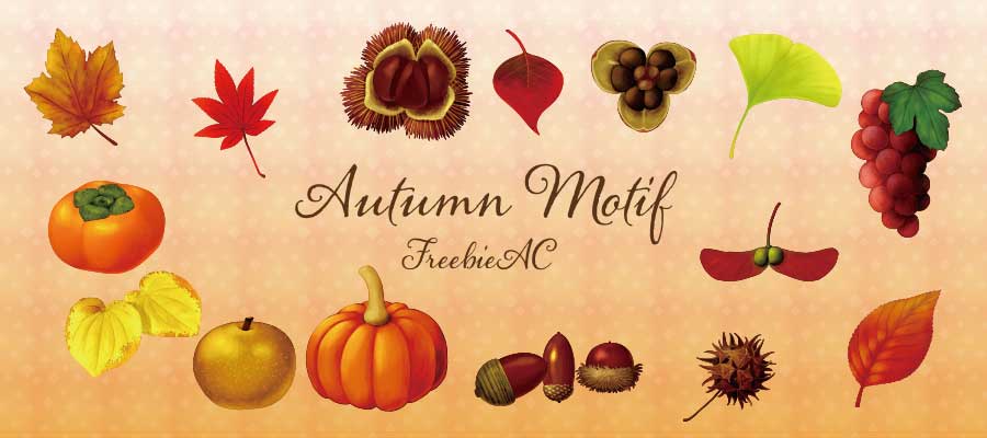 Realistic autumn motif illustration