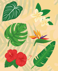 Bộ sưu tập minh họa thực vật nhiệt đới