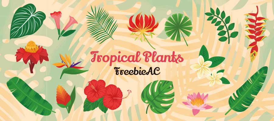 Tropical botanical illustration collection