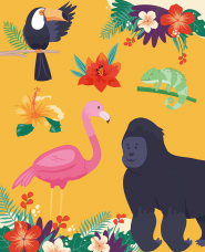 tropical illustration collection
